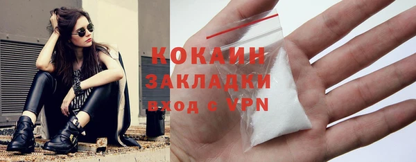 трава Наволоки