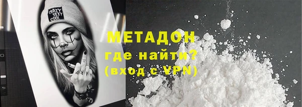 прущие грибы Белая Холуница