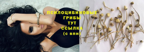 ешки Михайловск