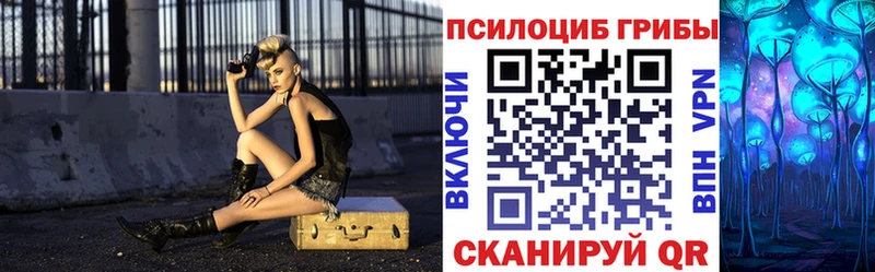 Псилоцибиновые грибы мицелий  Томмот 